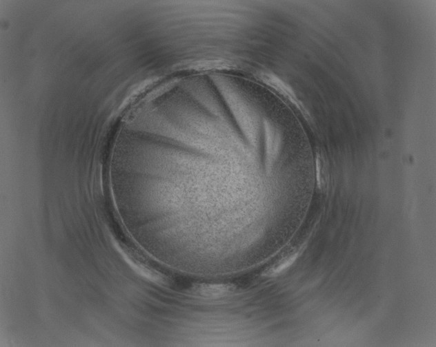 X0000077400205200611032035