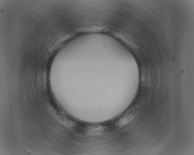 X0000077400206200611032035