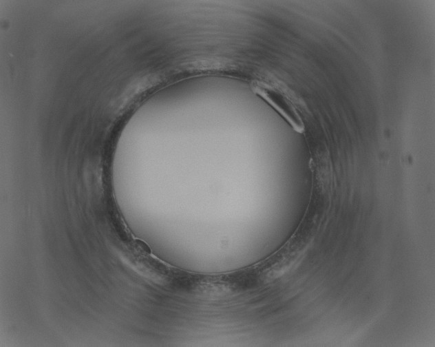 X0000077400207200611032035