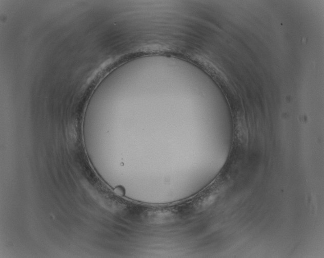 X0000077400208200611032035