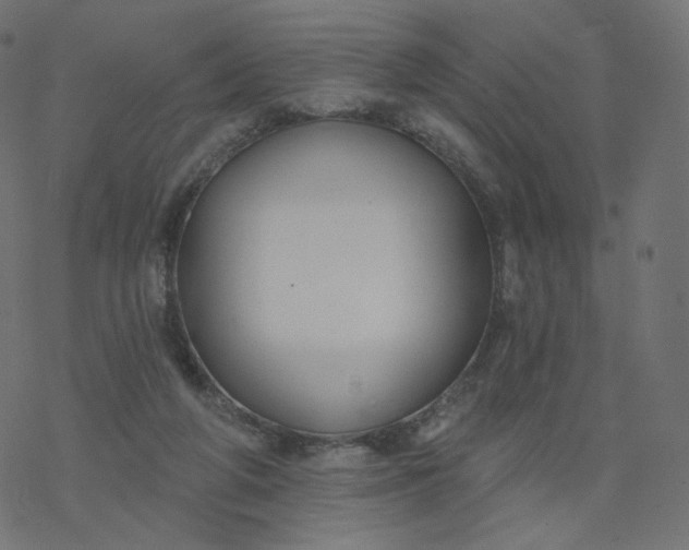 X0000077400210200611032035