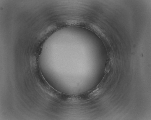 X0000077400211200611032035