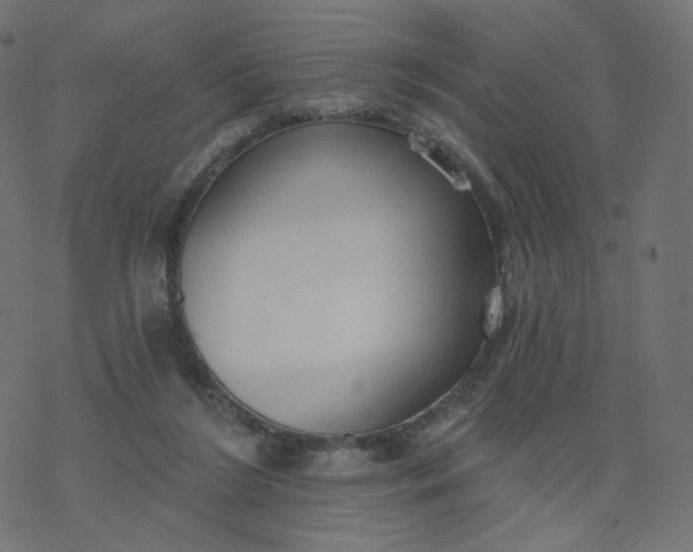 X0000077400212200611032035