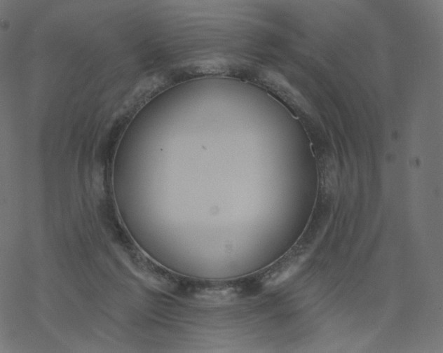 X0000077400213200611032035