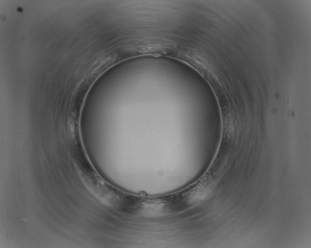 X0000077400214200611032035