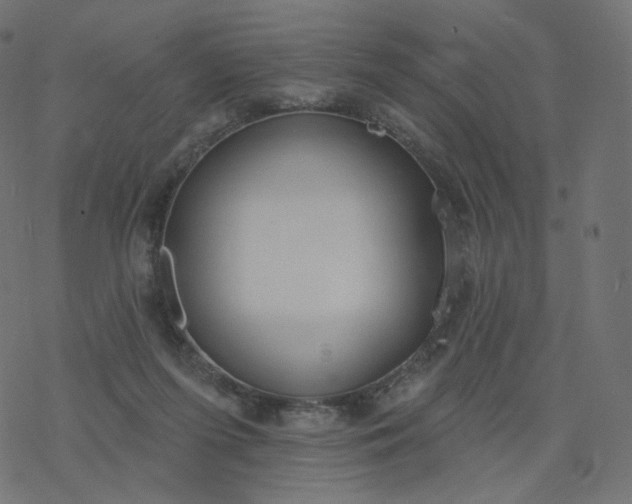 X0000077400215200611032035