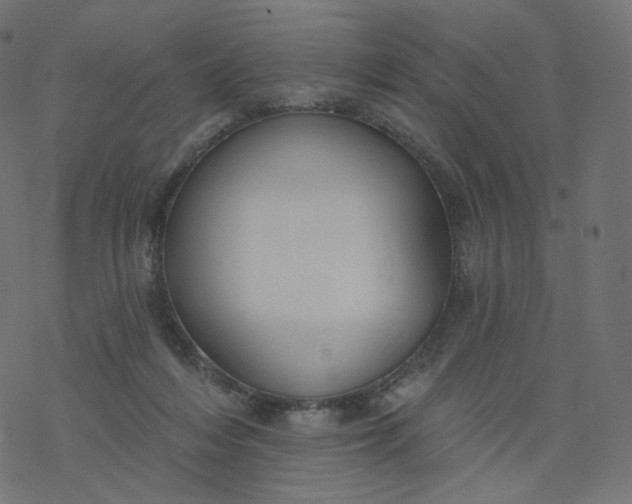 X0000077400216200611032035