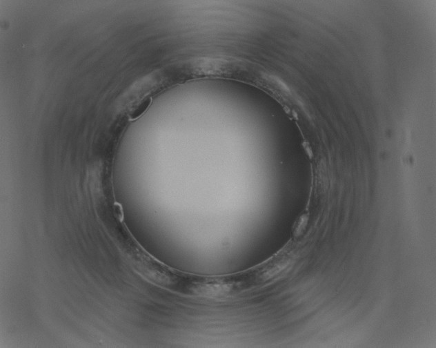 X0000077400217200611032035