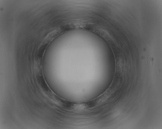 X0000077400218200611032035