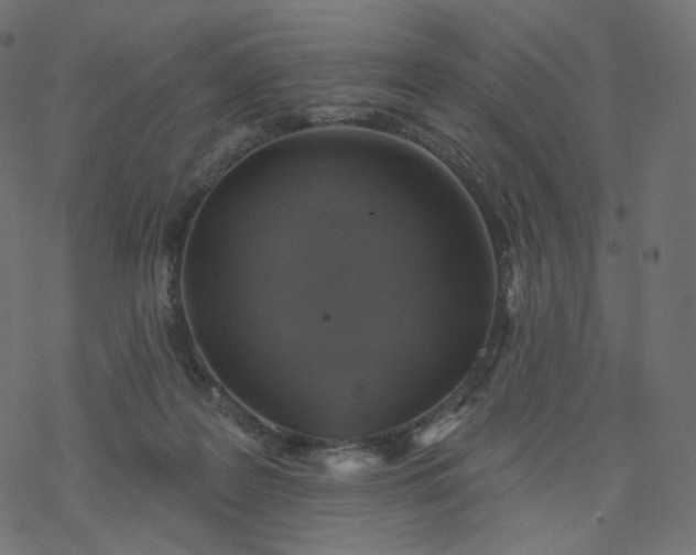 X0000077400219200611032035