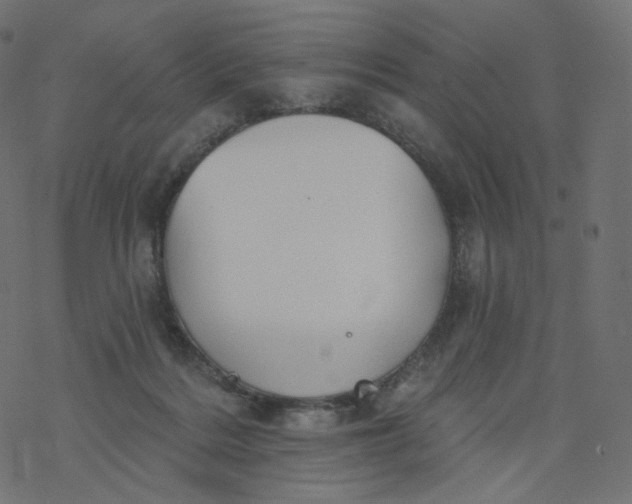 X0000077400220200611032034