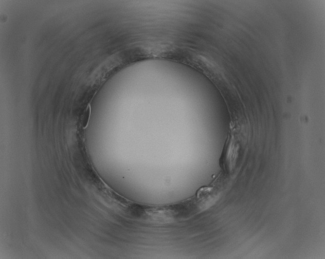 X0000077400221200611032034