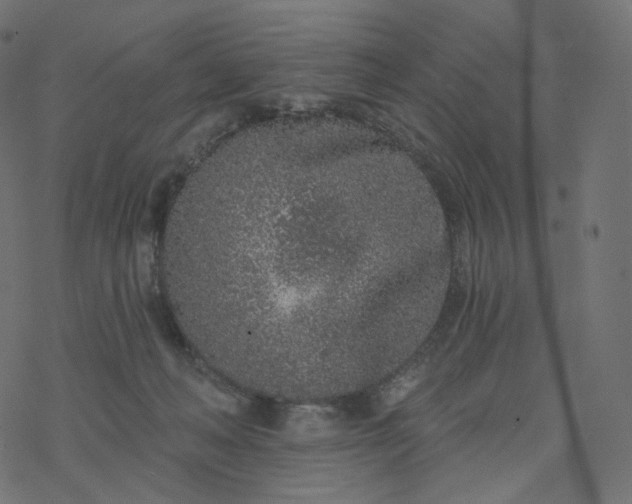 X0000077400222200611032034