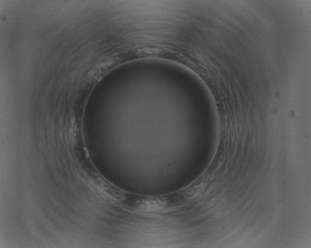 X0000077400223200611032034