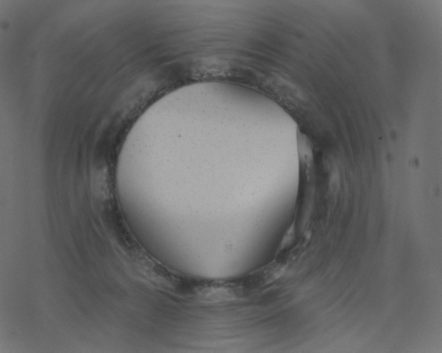 X0000077400224200611032034