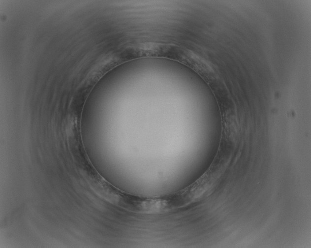 X0000077400225200611032034