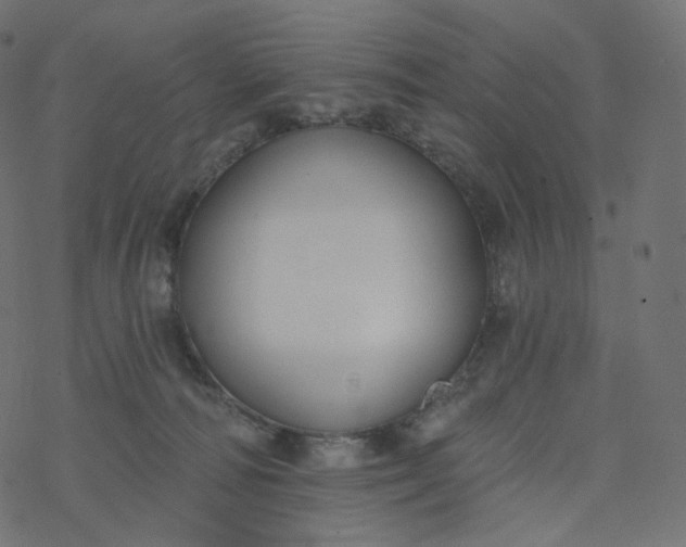 X0000077400226200611032034