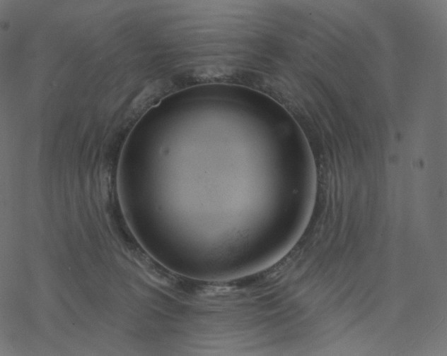 X0000077400227200611032034