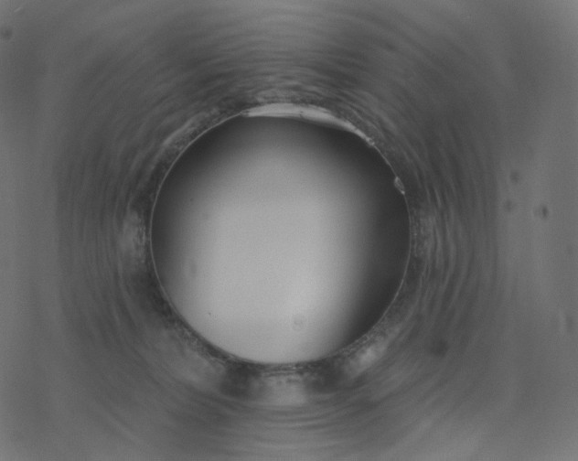 X0000077400228200611032034