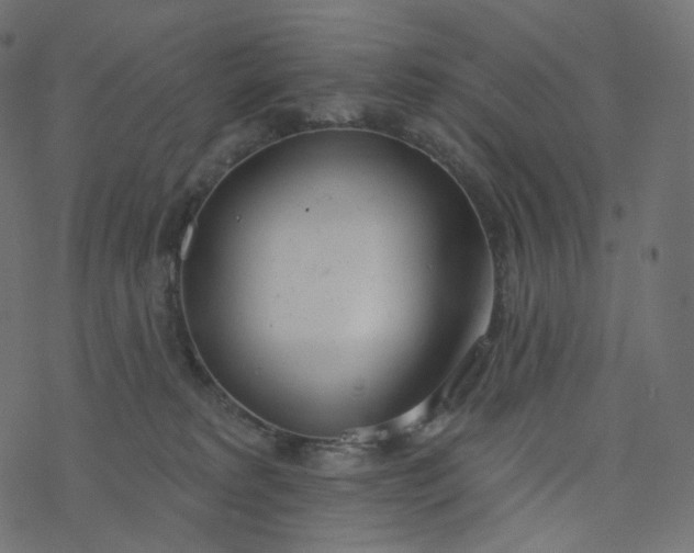 X0000077400229200611032034