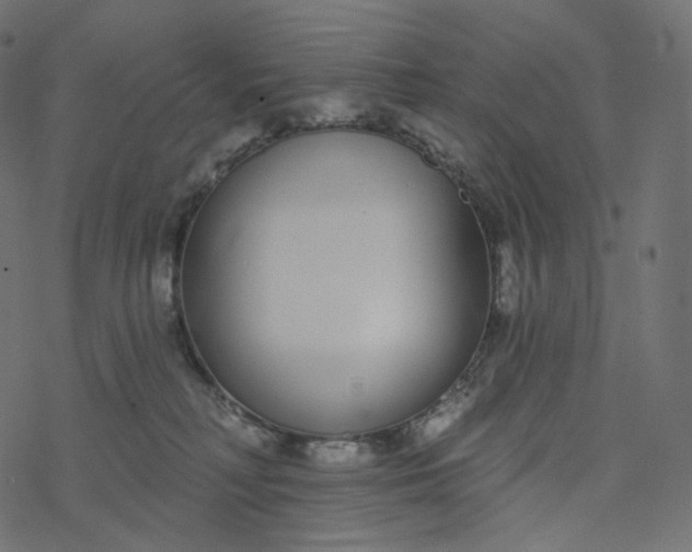 X0000077400230200611032034