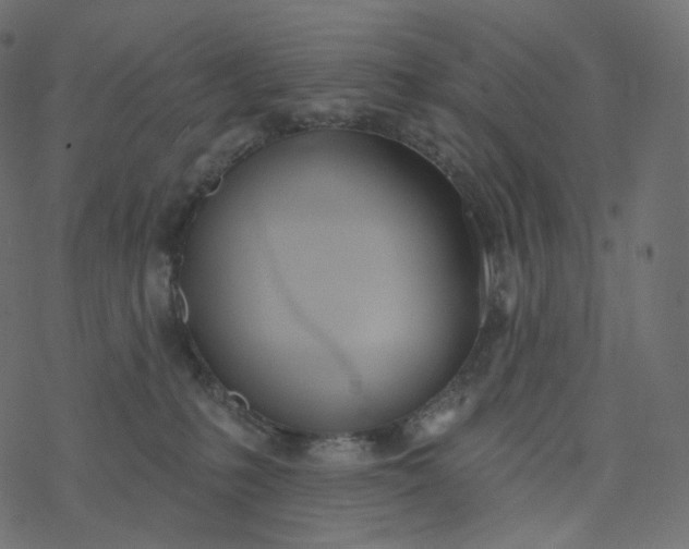 X0000077400231200611032034