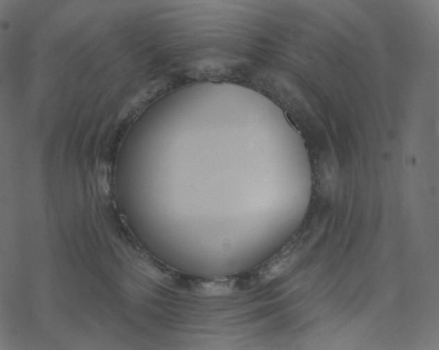 X0000077400232200611032034