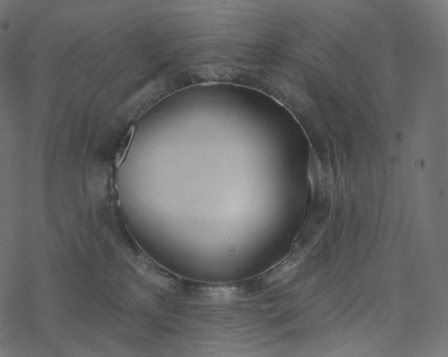 X0000077400233200611032034