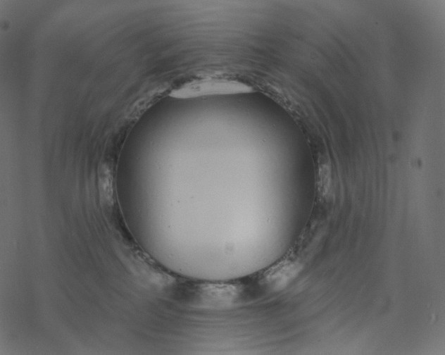 X0000077400234200611032034