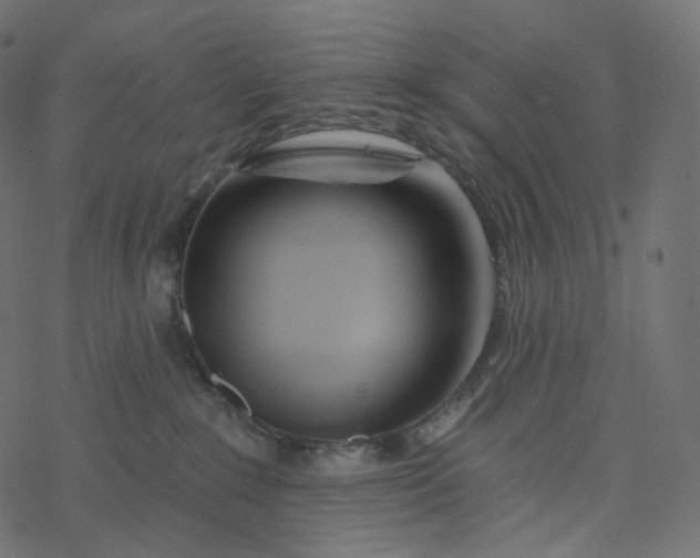 X0000077400235200611032034