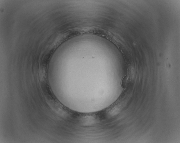 X0000077400236200611032034