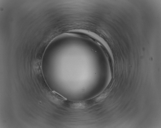 X0000077400237200611032034