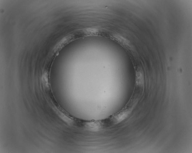 X0000077400238200611032034