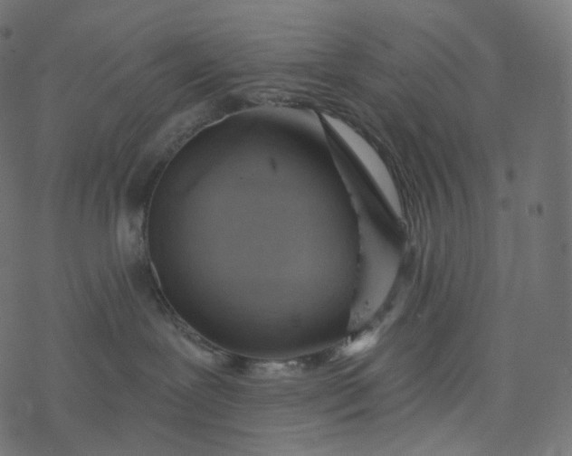 X0000077400239200611032034