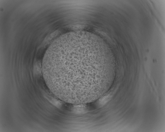 X0000077400240200611032034