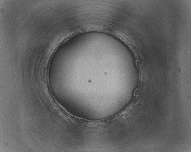 X0000077400241200611032033