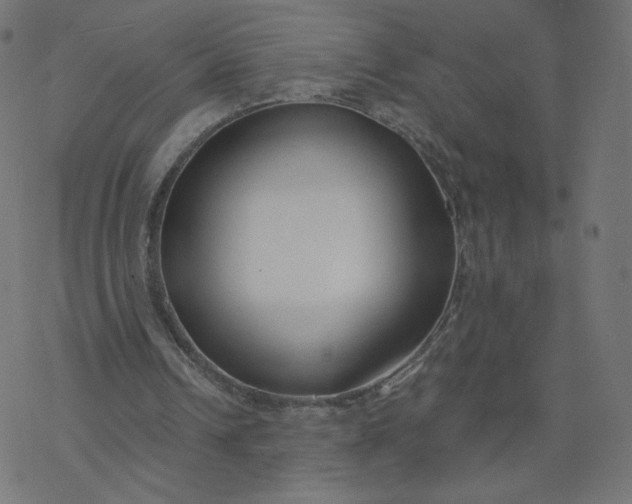 X0000077400242200611032033