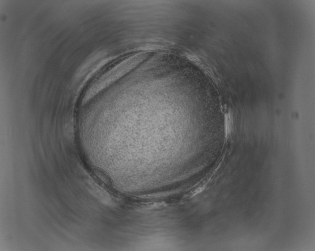 X0000077400243200611032033