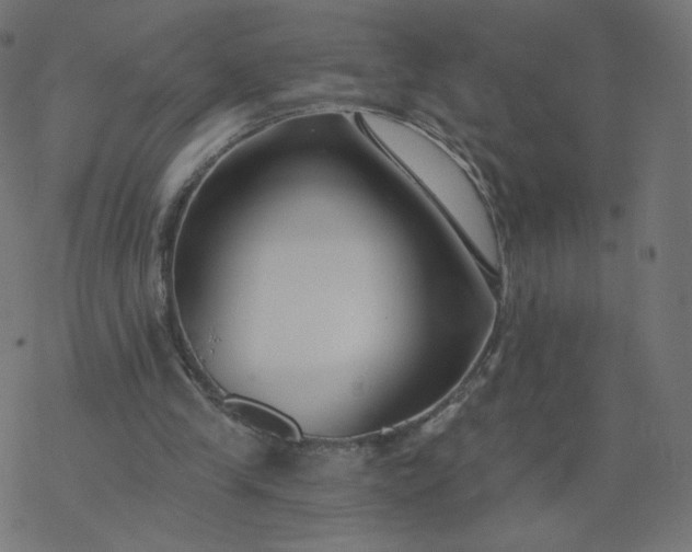 X0000077400245200611032033