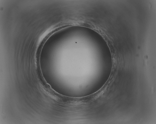 X0000077400246200611032033