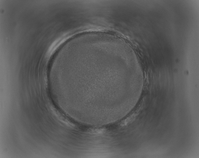 X0000077400247200611032033