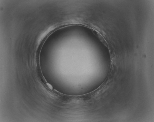 X0000077400248200611032033