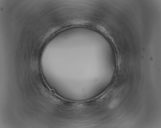 X0000077400249200611032034