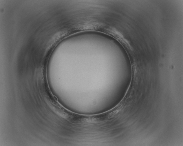 X0000077400250200611032034