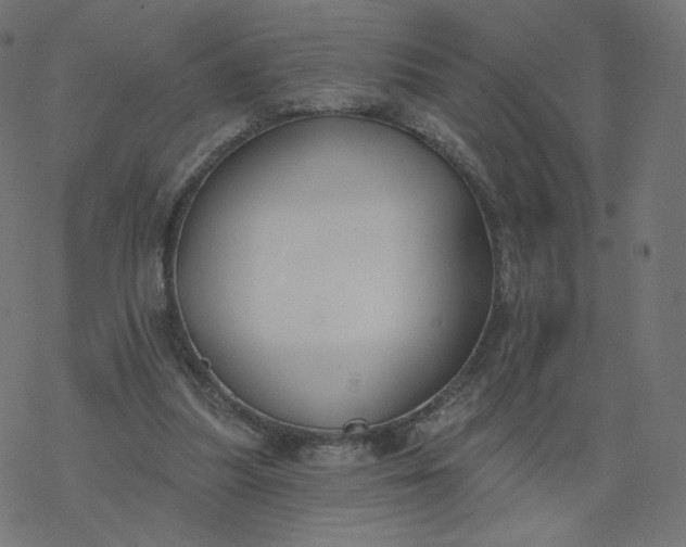 X0000077400251200611032034