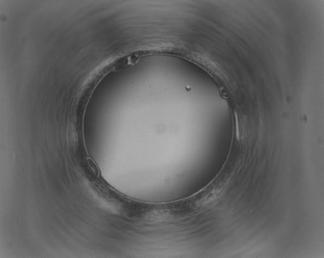 X0000077400252200611032034