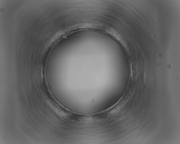 X0000077400253200611032034