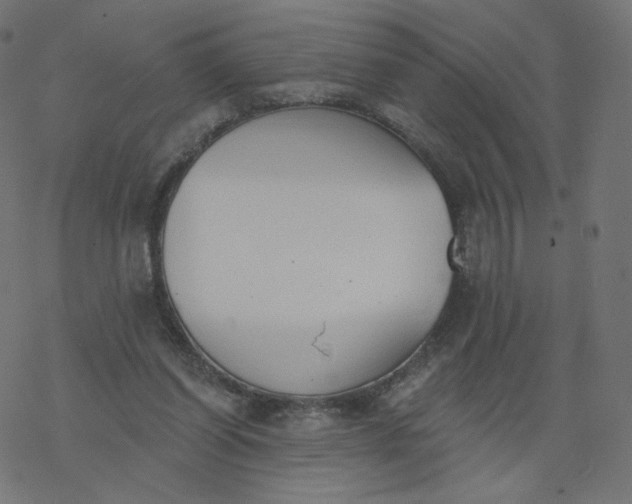 X0000077400254200611032034