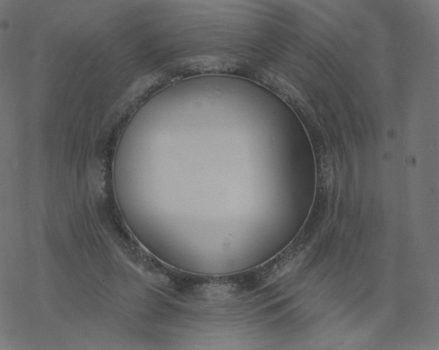 X0000077400255200611032034