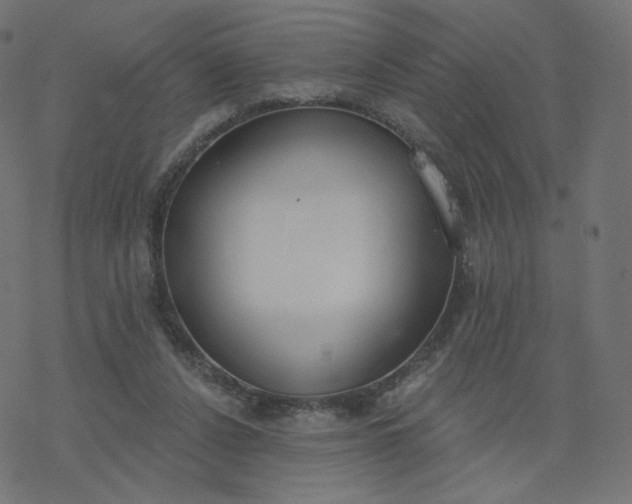 X0000077400256200611032034